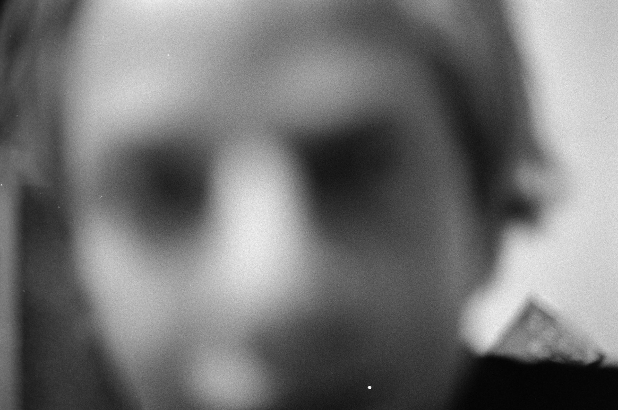 AHP F1995 10 003 sc240815 img03 NLP